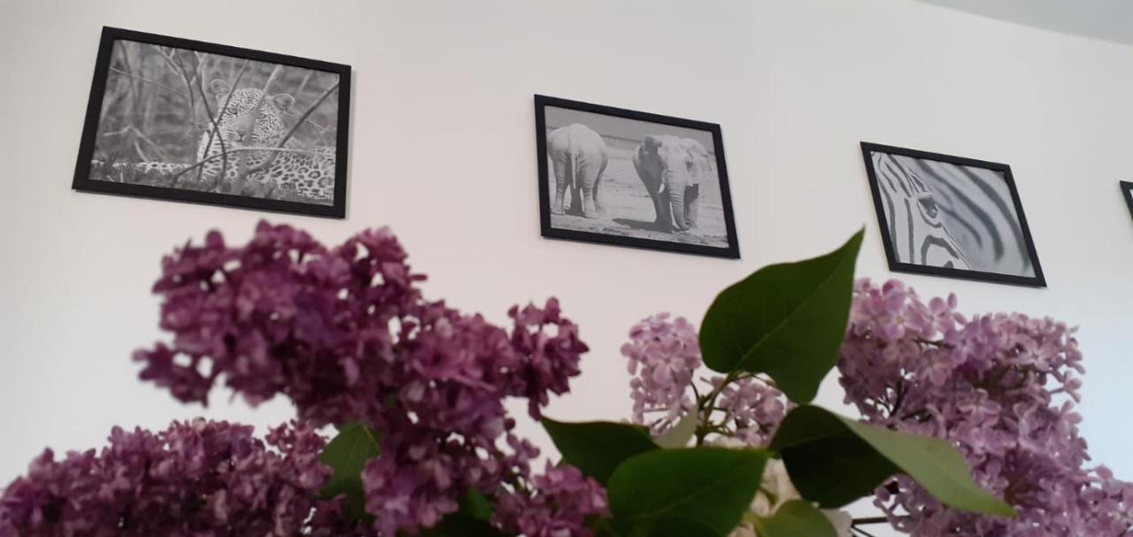 Ferienwohnung Wittenberge Bagian luar foto